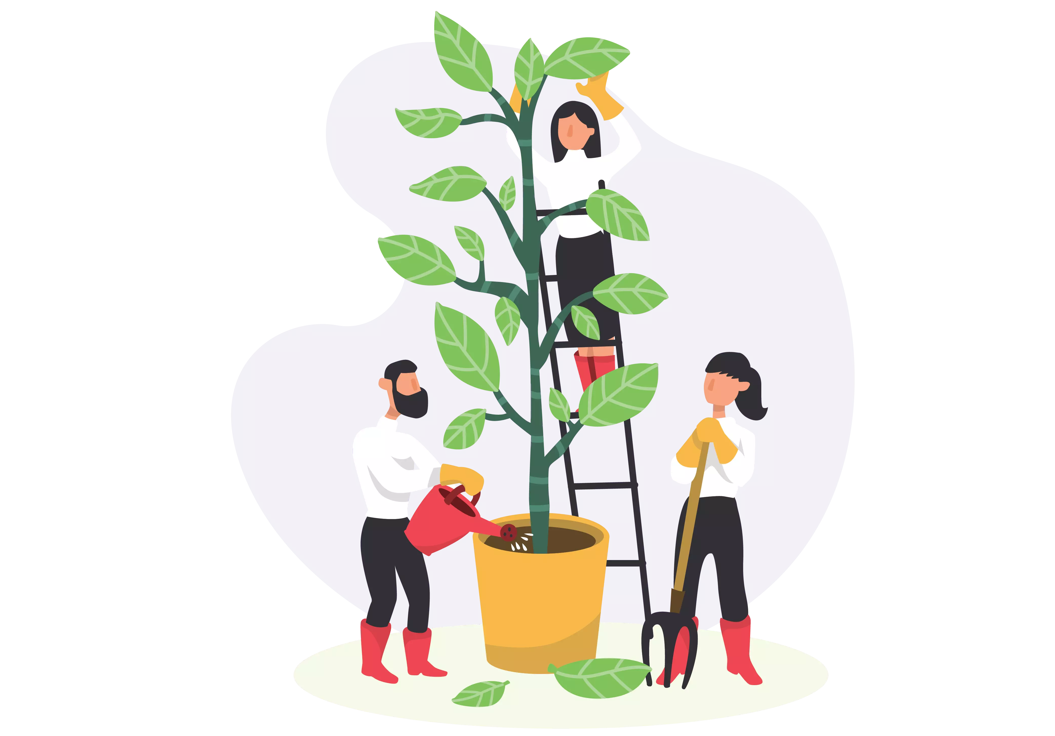 Buy Youtube subscribers